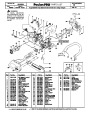 Poulan Pro 262 Chainsaw Parts List page 1
